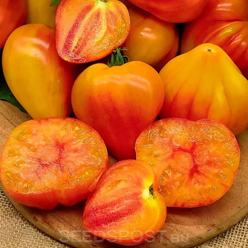 Томат сорт это что значит. Пасынкование индетерминантных томатов. Томат интердетерминантные сорта что это. Индетерминантный томат формирование. Чери томат детерминантный.