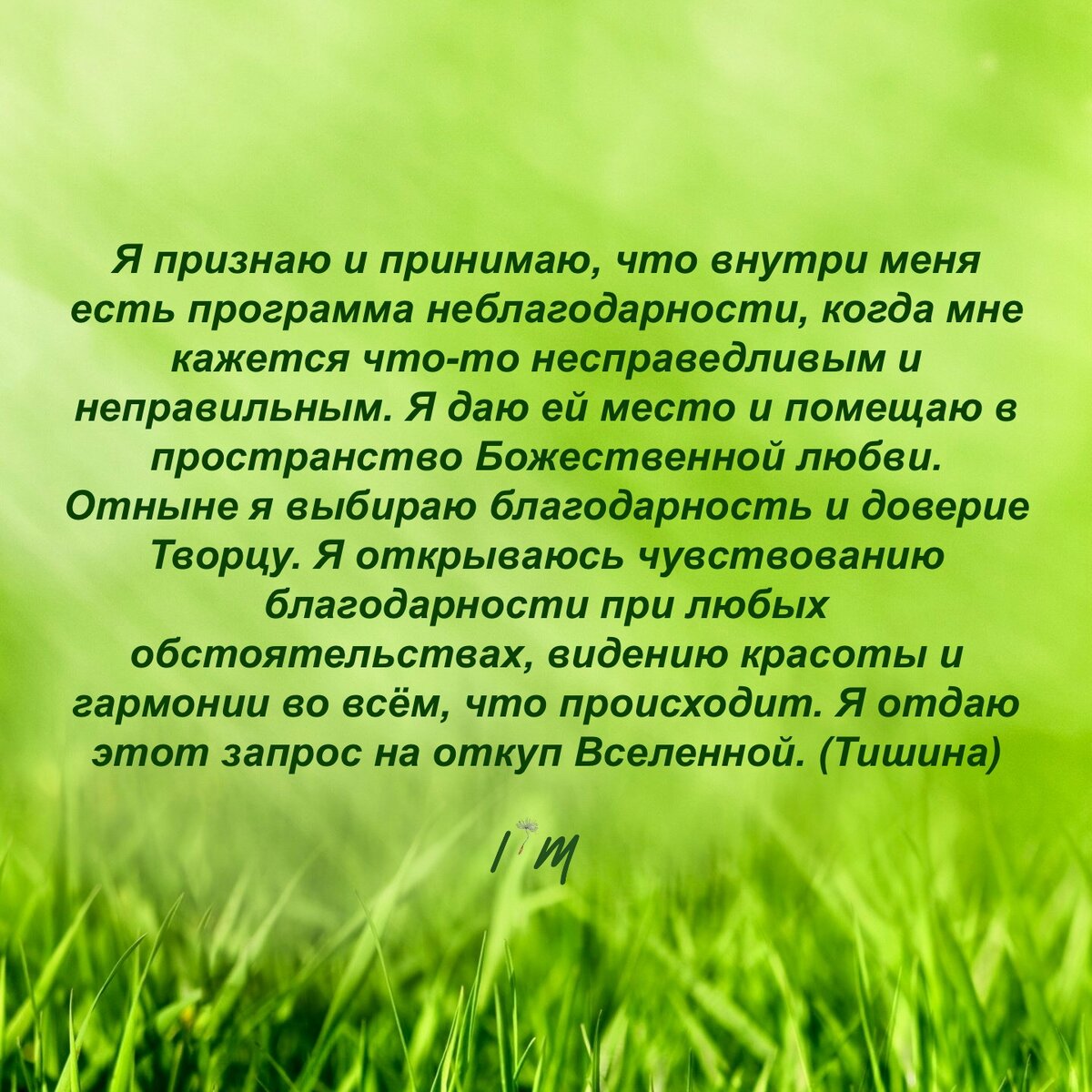 Если актуально, зачитывай мой авторский настрой.
Слово «тишина» в конце - напоминание о желательности остановки внутреннего диалога хоть на несколько секунд.