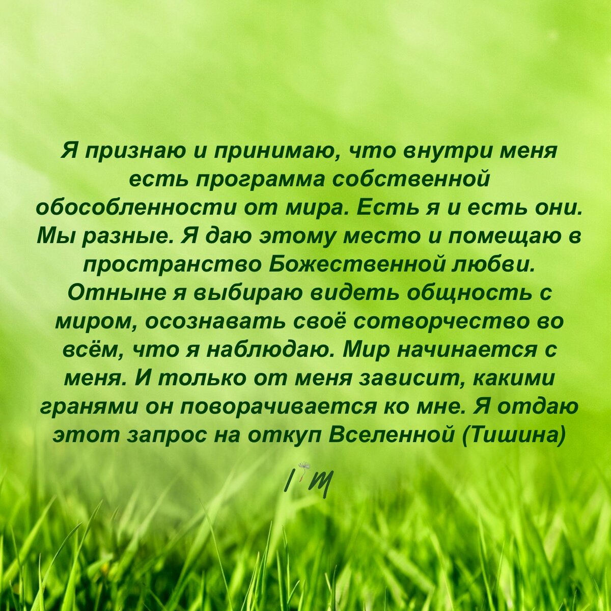 Если актуально, зачитывай мой авторский настрой.
Слово «тишина» в конце - напоминание о желательности остановки внутреннего диалога хоть на несколько секунд.