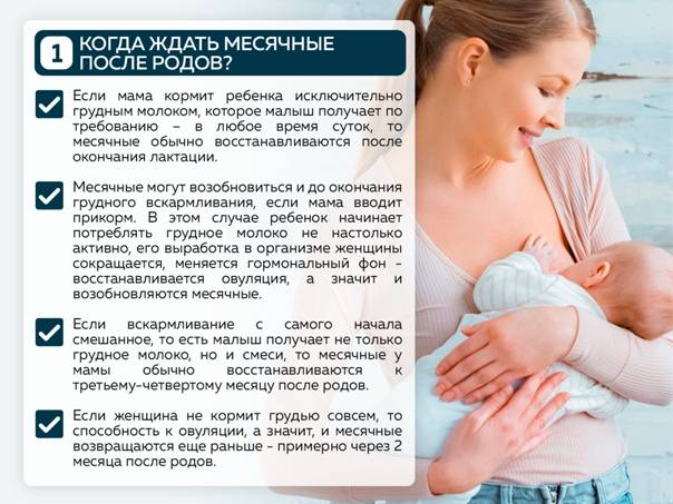 Как скоро после родов восстанавливается менструальный цикл?