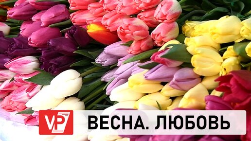 ВОЛГОГРАДСКИЕ МУЖЧИНЫ РАССКАЗАЛИ, КАКИЕ ЦВЕТЫ ДАРЯТ ЛЮБИМЫМ ЖЕНЩИНАМ