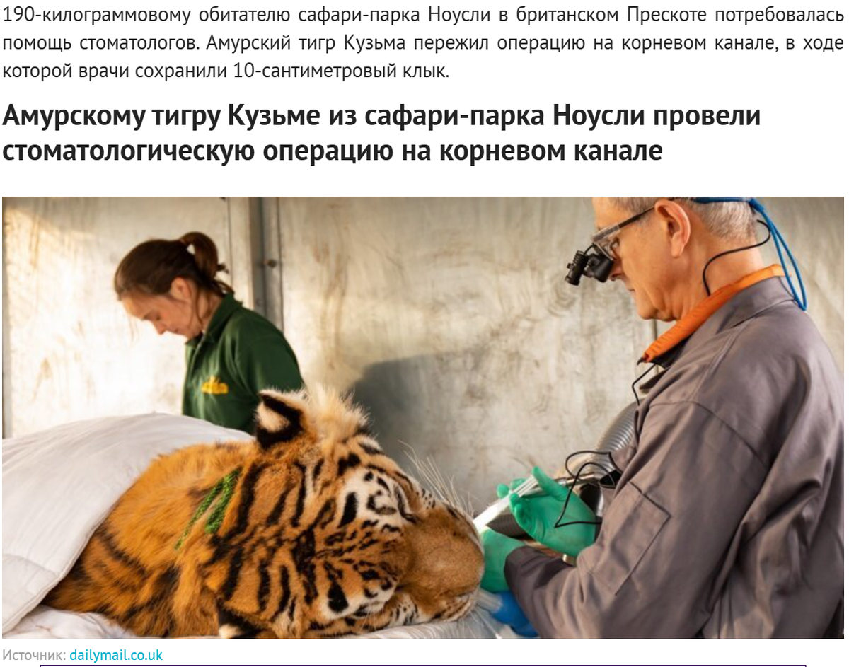 Источник dailymail.c
