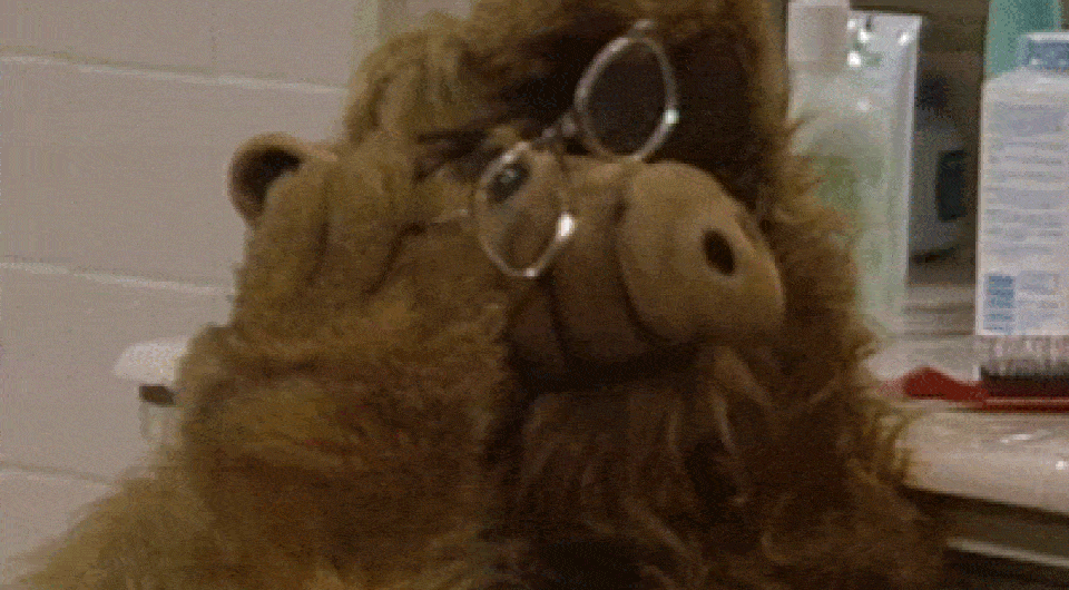   ALF / Warner Bros. Television, 1986-1990