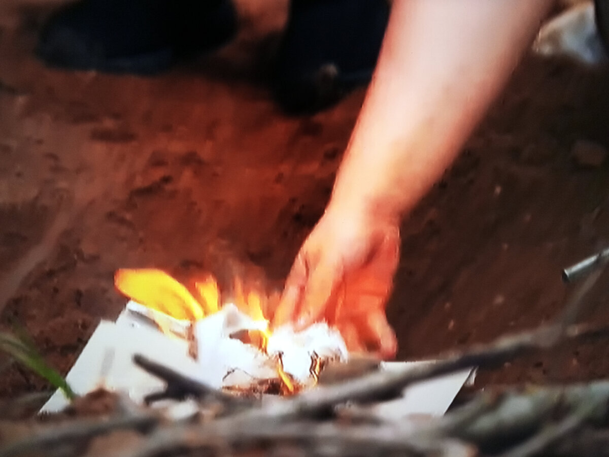 смешной мох. человек заросший мхом. жизнь в лесу. как я жил в лесу. друскининкай лес избушка.