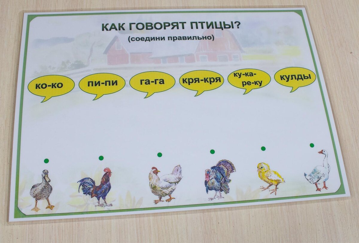 Развивающее пособие "Домашние птицы" (двухсторонняя карточка)