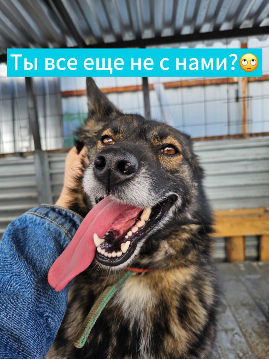 Лакки приглашает в гости