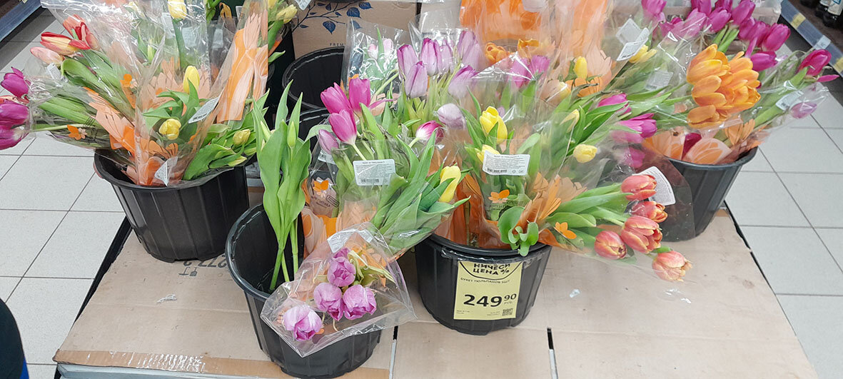 Фото автора.