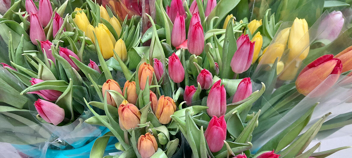 Фото автора.