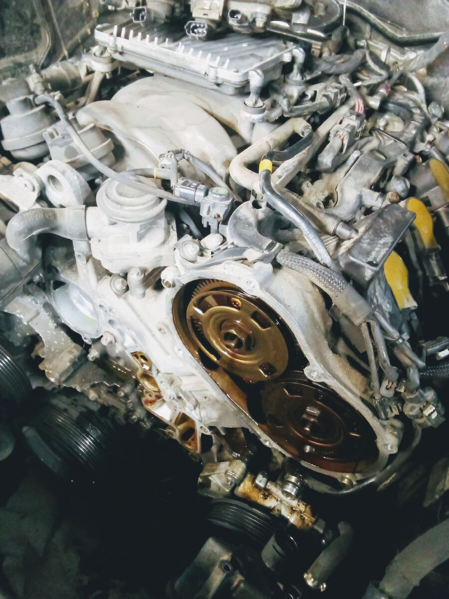 Фото из личного архива