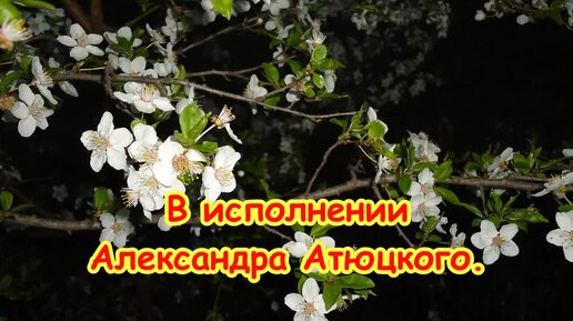 _ЧТО ТАК СЕРДЦЕ РАСТРЕВОЖЕНО__КАВЕР_Т.Хренников, ст.М.Матусовского, исп.Александр Атюцкий.