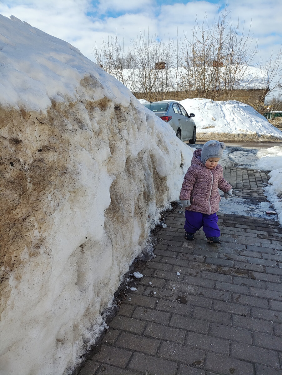 Это сегодня сфотографировала стену снега между дорогой и тропинкой вдоль площадки