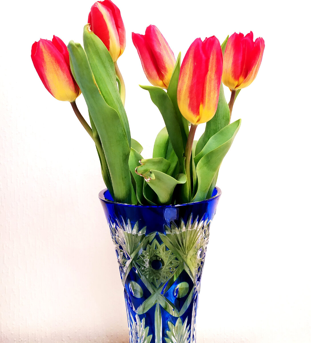 С праздником весны!!!