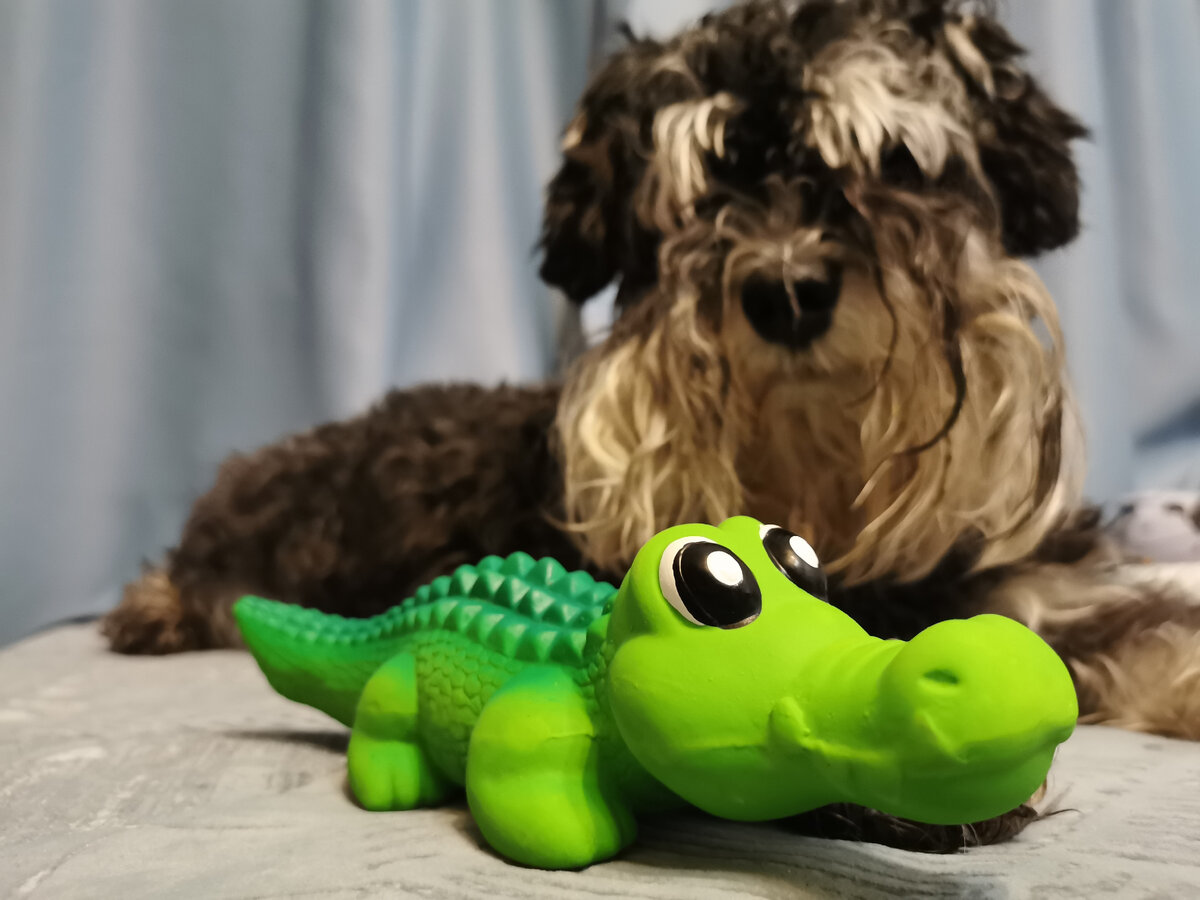 Джесси со своим подарком 