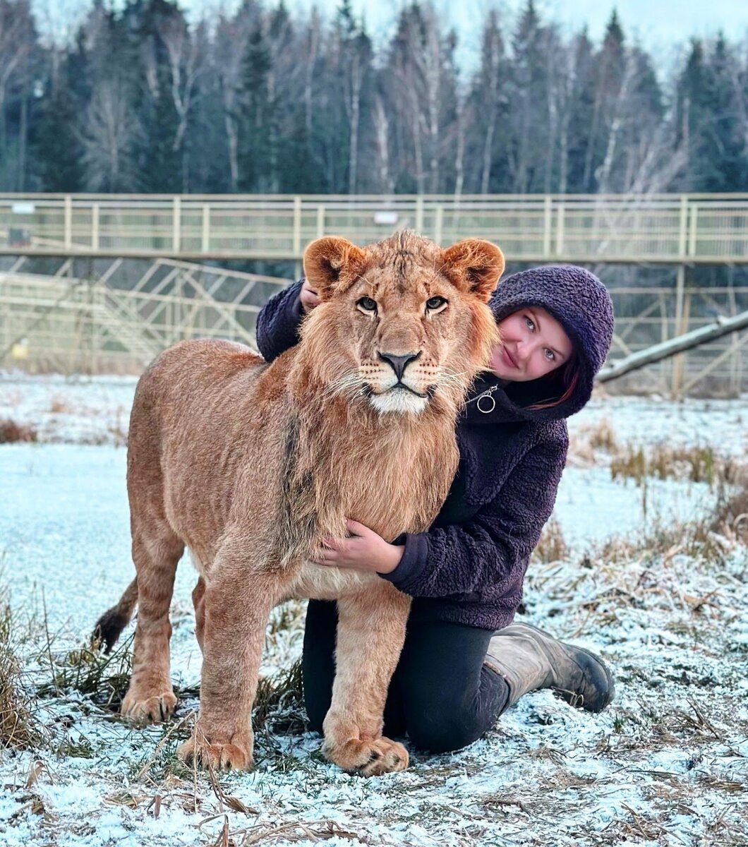 Заместитель директора парка со львицей 