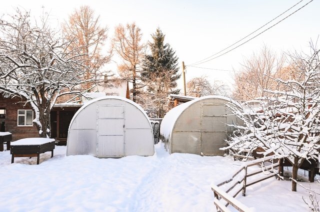    Надо ли сейчас накрывать грядки с подзимними посевами?