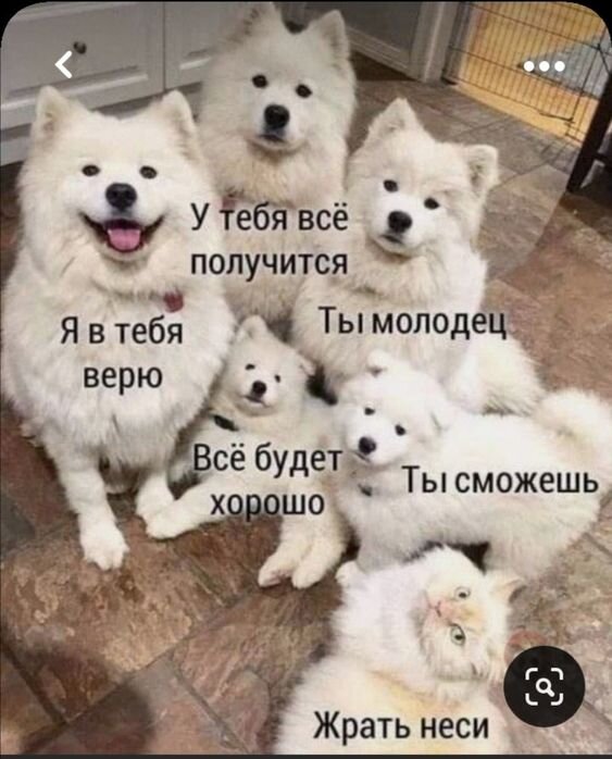 Поддержка важна для изменений