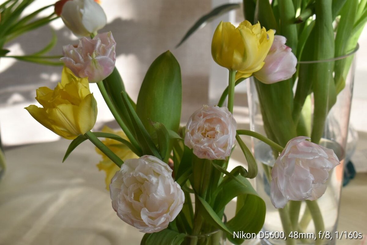Как долго сохранить тюльпаны в вазе. Картина ваза с тюльпанами. Букет тюльпанов в вазе. Тюльпаны в вазе. Тюльпаны в горшке.