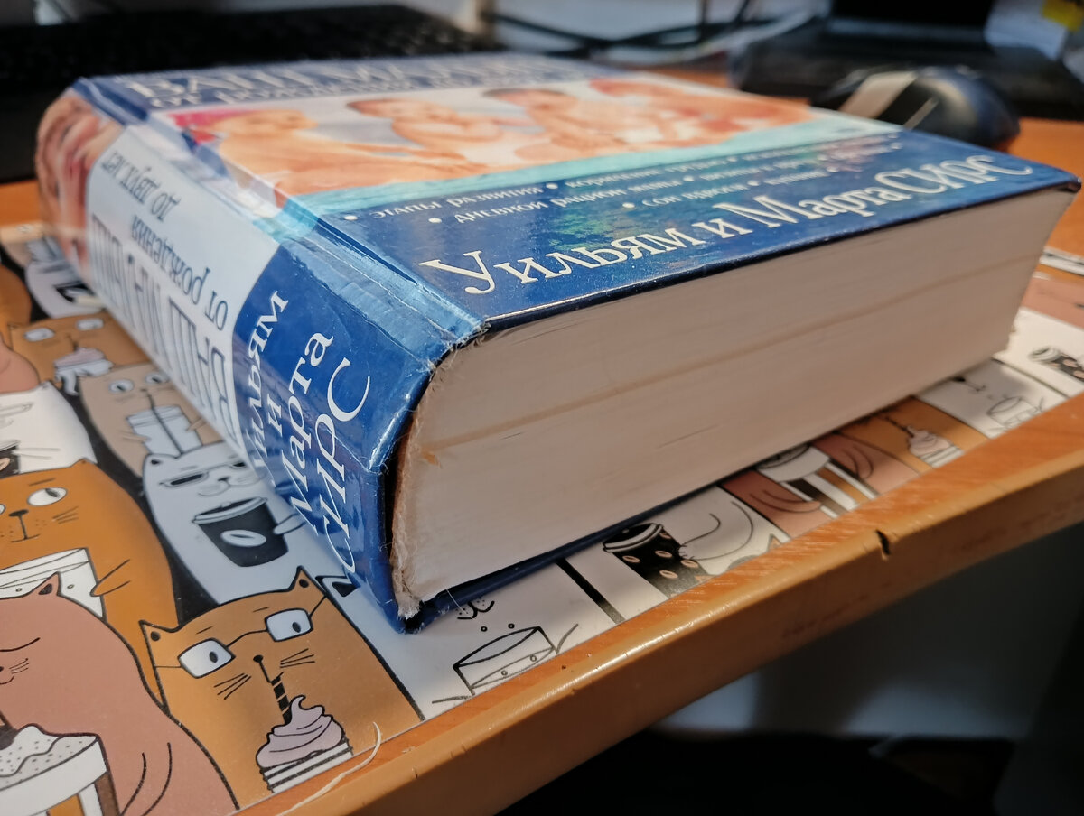 Толщина в корешке чуть больше 4-х см.