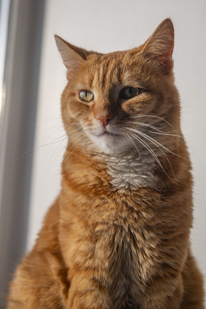 Животинка тоже требует к себе уважительного отношения)))