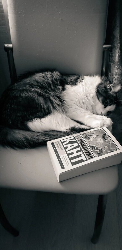 иллюстрация из яндекс картинки.