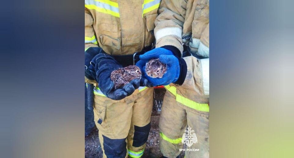    Пресс-служба МЧС