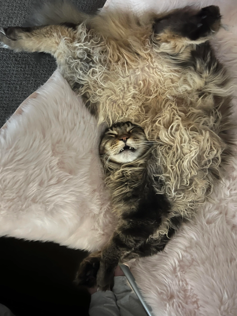    Все переплетено...