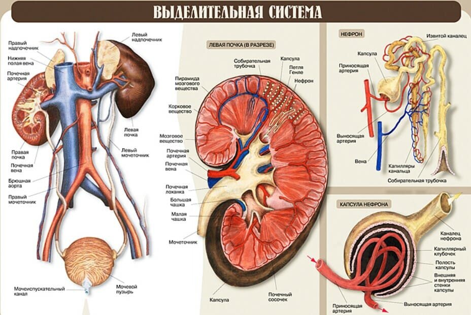 Красота же, всё просто и понятно. Это ведь не математика. 