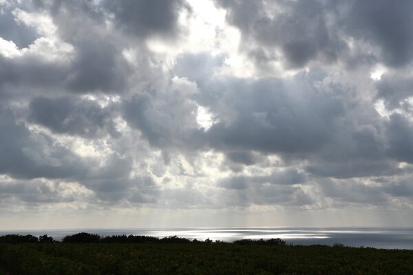 Фото РИА Новости