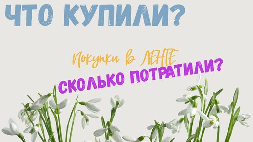 ЛЕНТА | Что купили | Сколько потратили