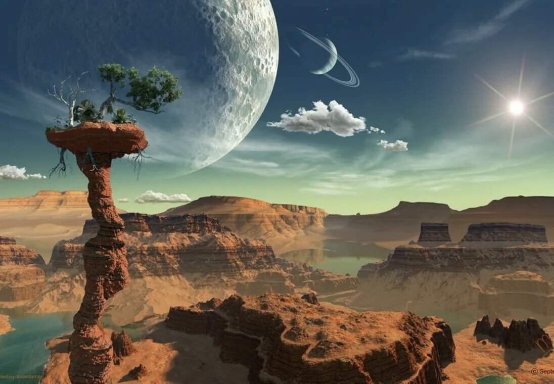 Изображение взято из открытых источников