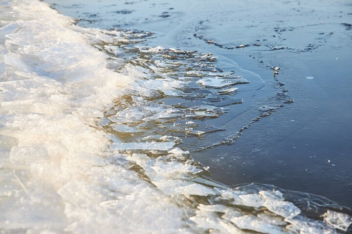 ФОТО: Николай ОБЕРЕМЧЕНКО