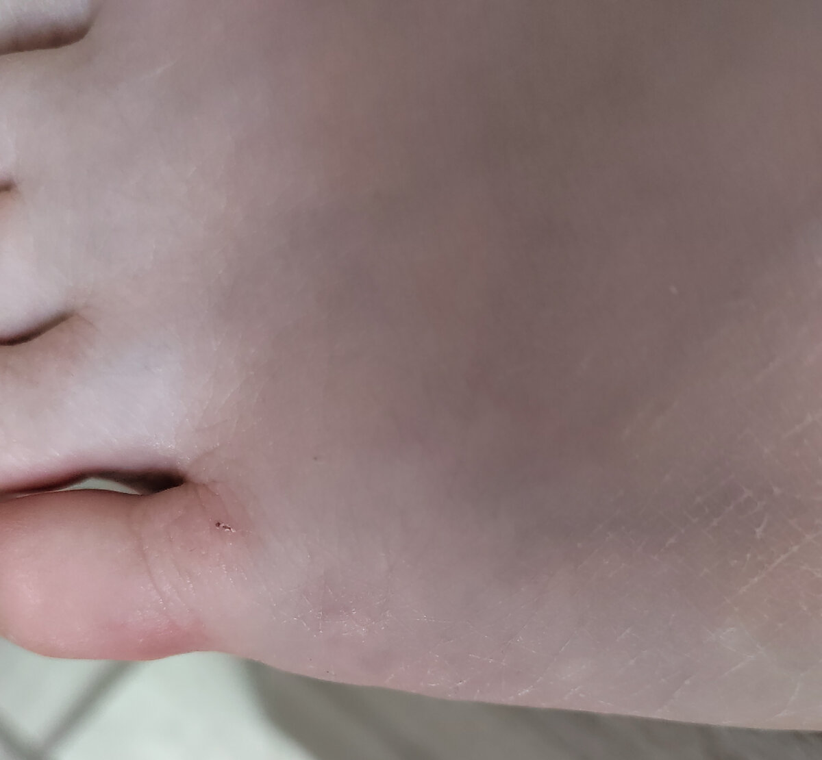 Фото автора канала.