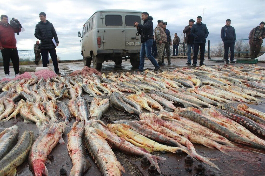 Масштабы трагедии иногда поражают...