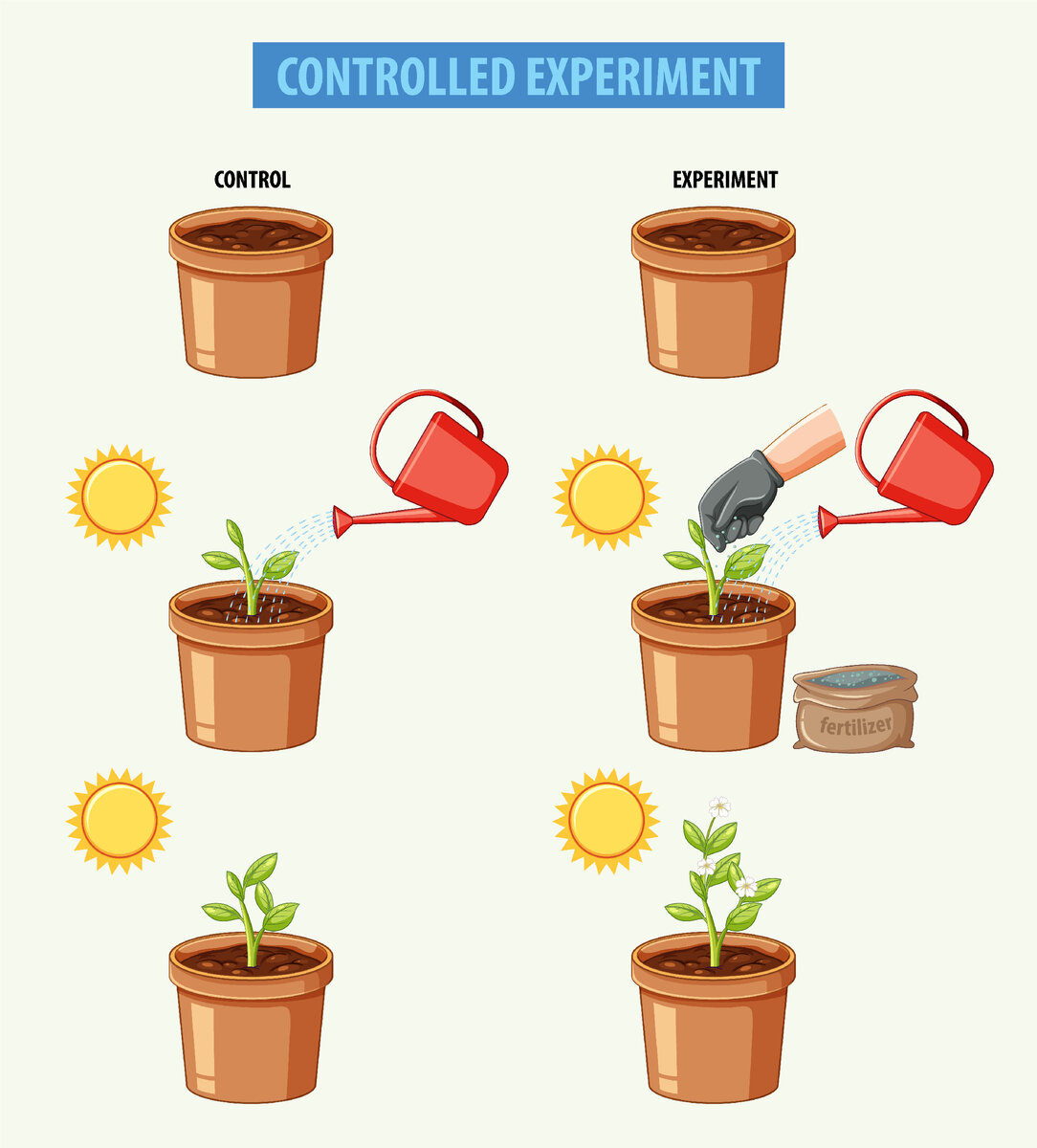 Image by brgfx on Freepik     Справа растение без удобрения, слева к которому применялось удобрение.