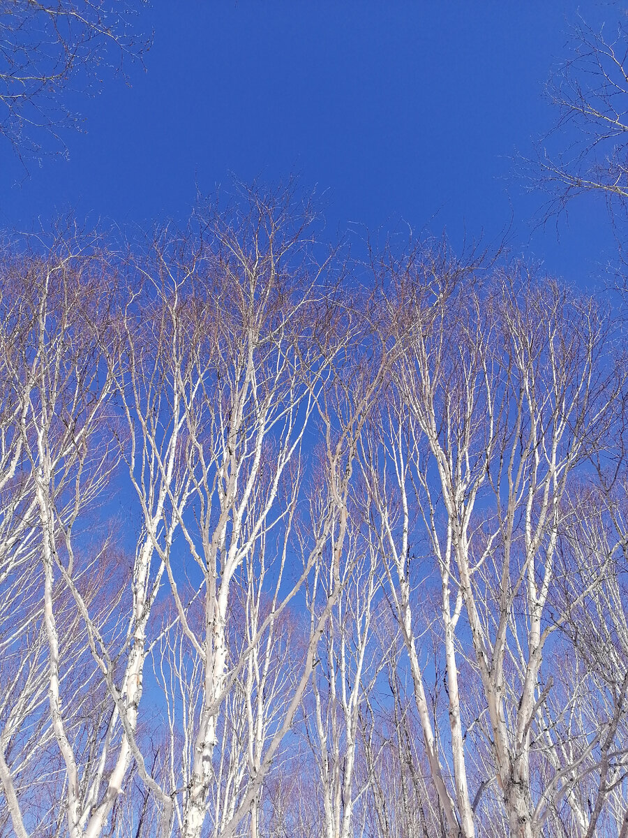 Тропа здоровья