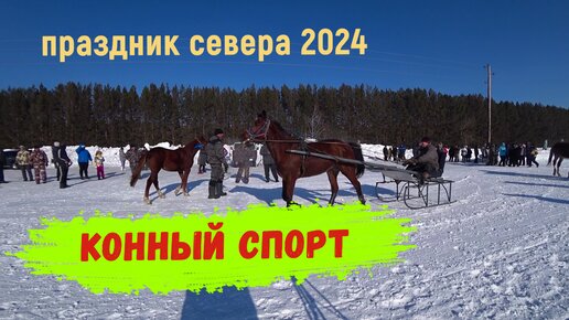 Конный спорт. Праздник севера Лисино 2024.