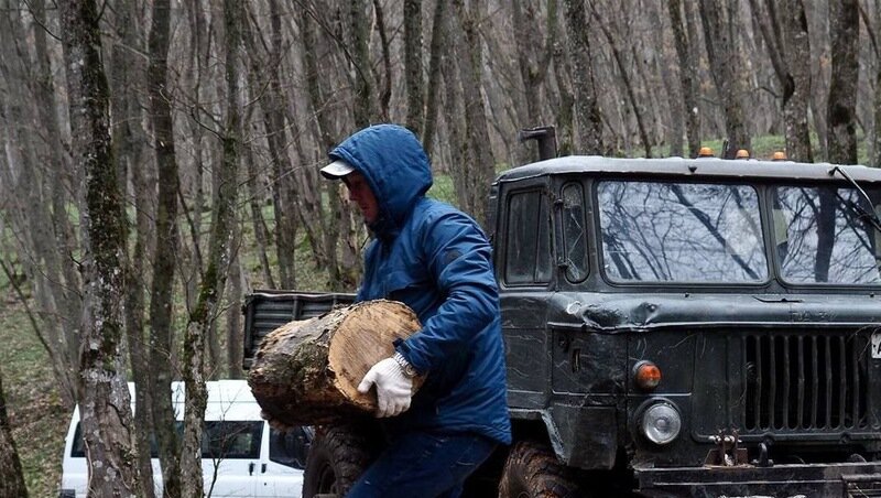      Фото: Телеграм-канал губернатора Владимира Владимирова