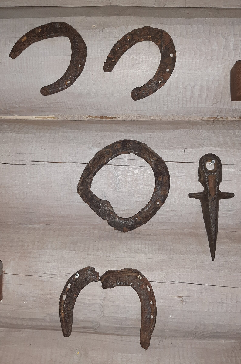 Общее фото #1