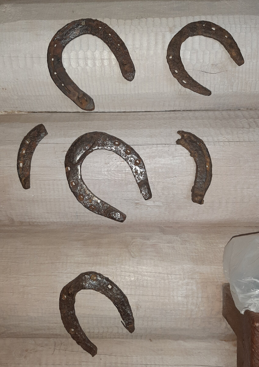 Общее фото #2