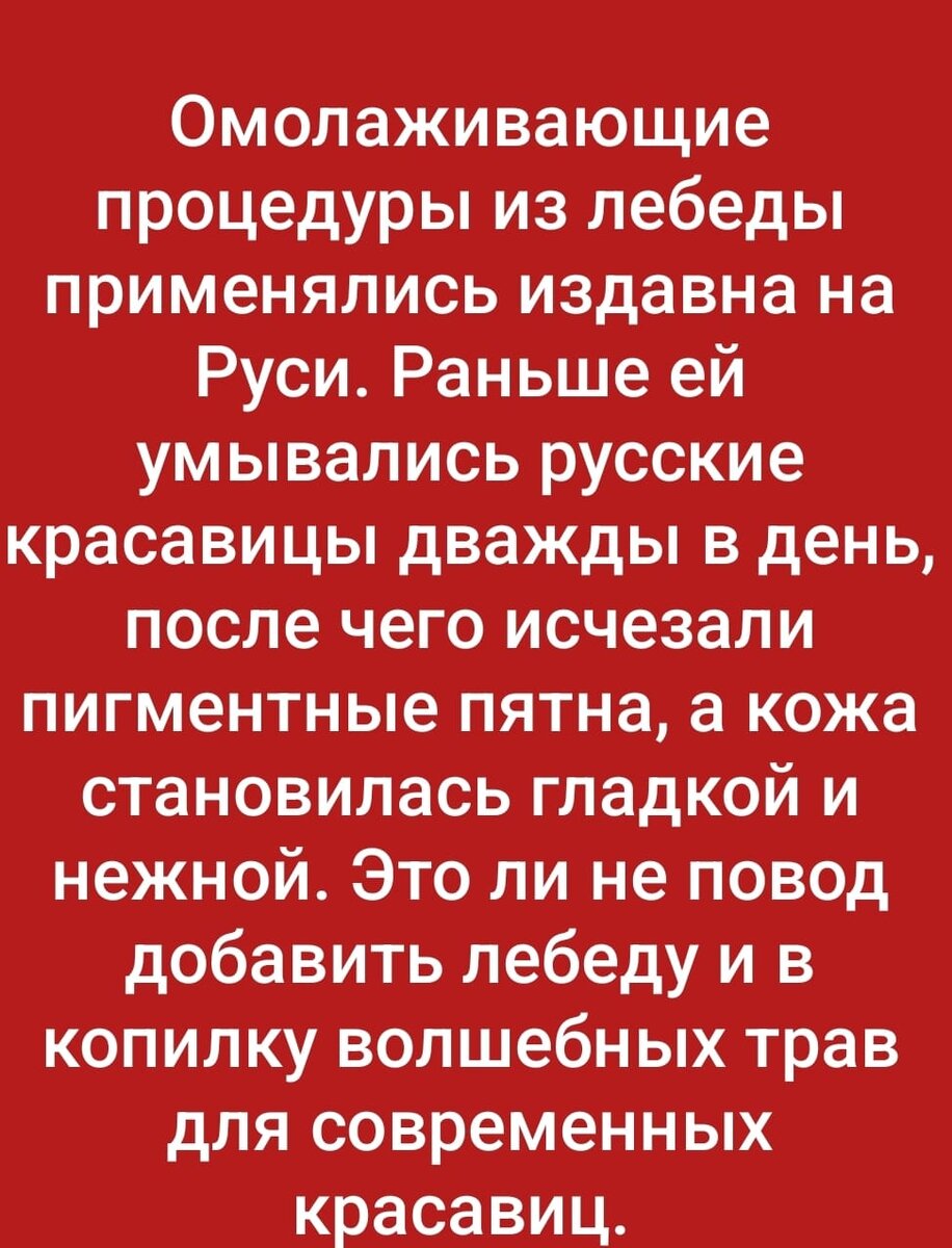 Заговор на торговлю: хорошую, читать на рабочем месте, удачную