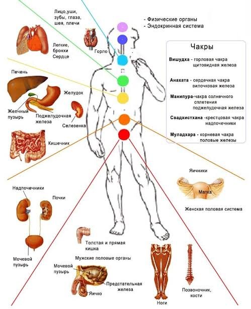 Картинка для наглядности.