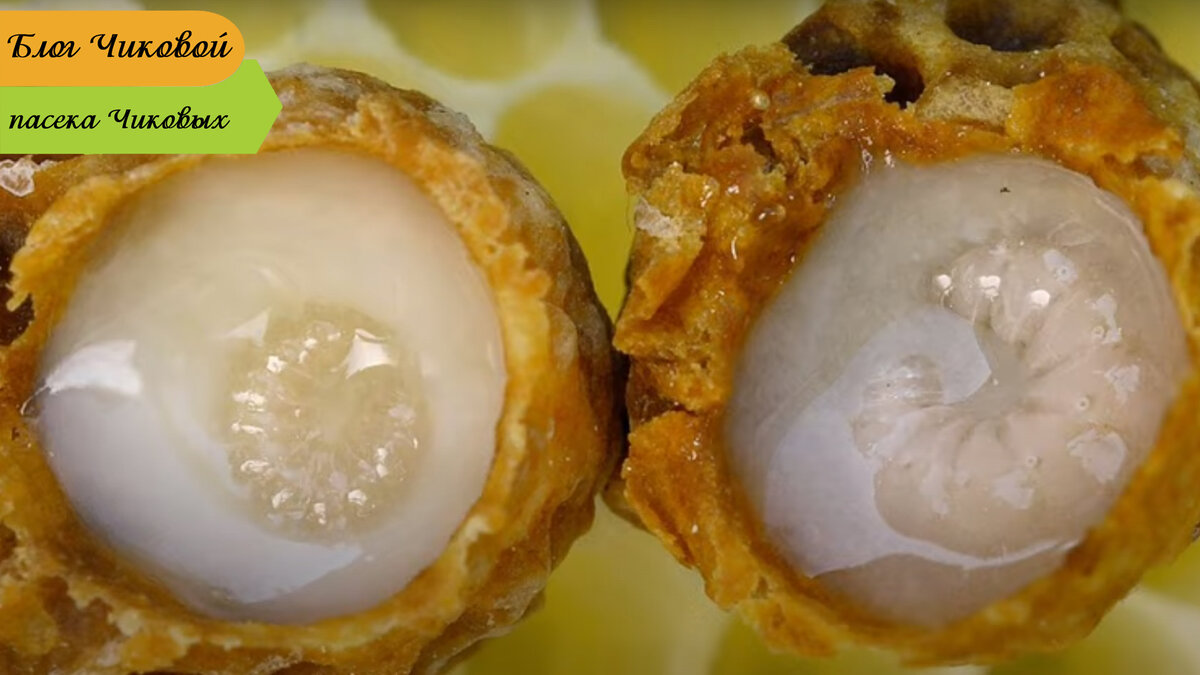 фото для примера