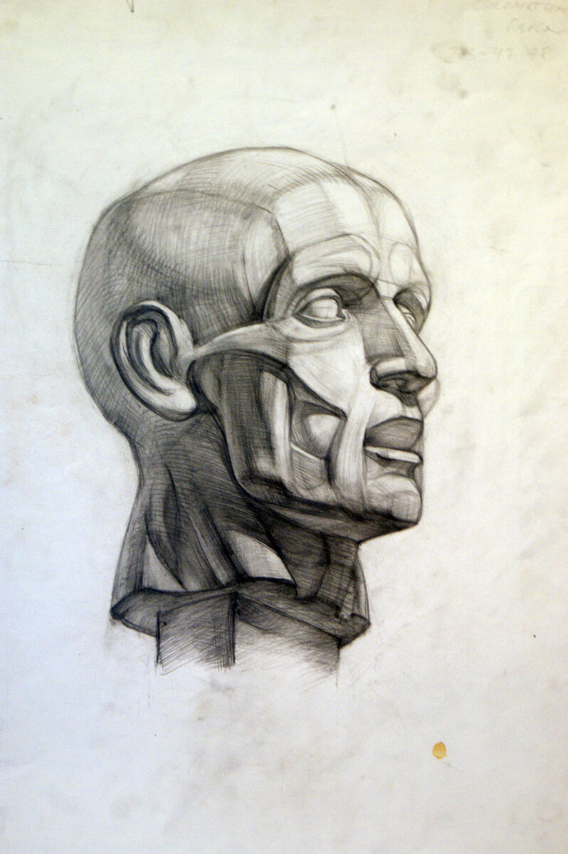 Рисунки, которые мы выполняли у Олега Викторовича Столярова