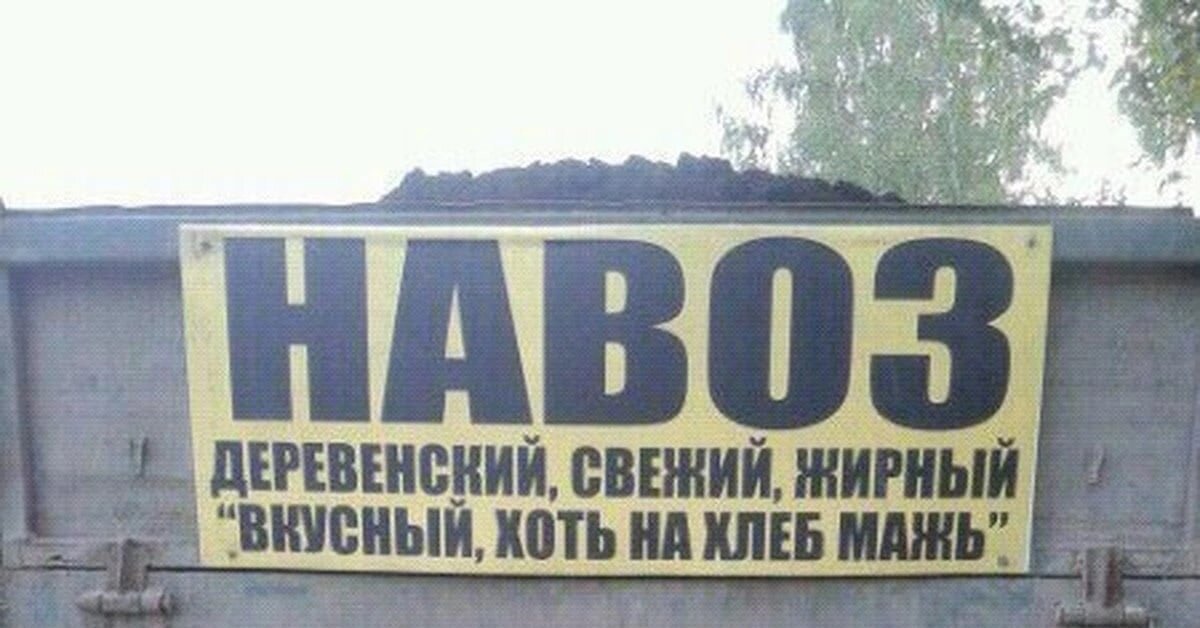 НАВОЗ деревенский, свежий, жирный, "хоть на хлеб мажь"