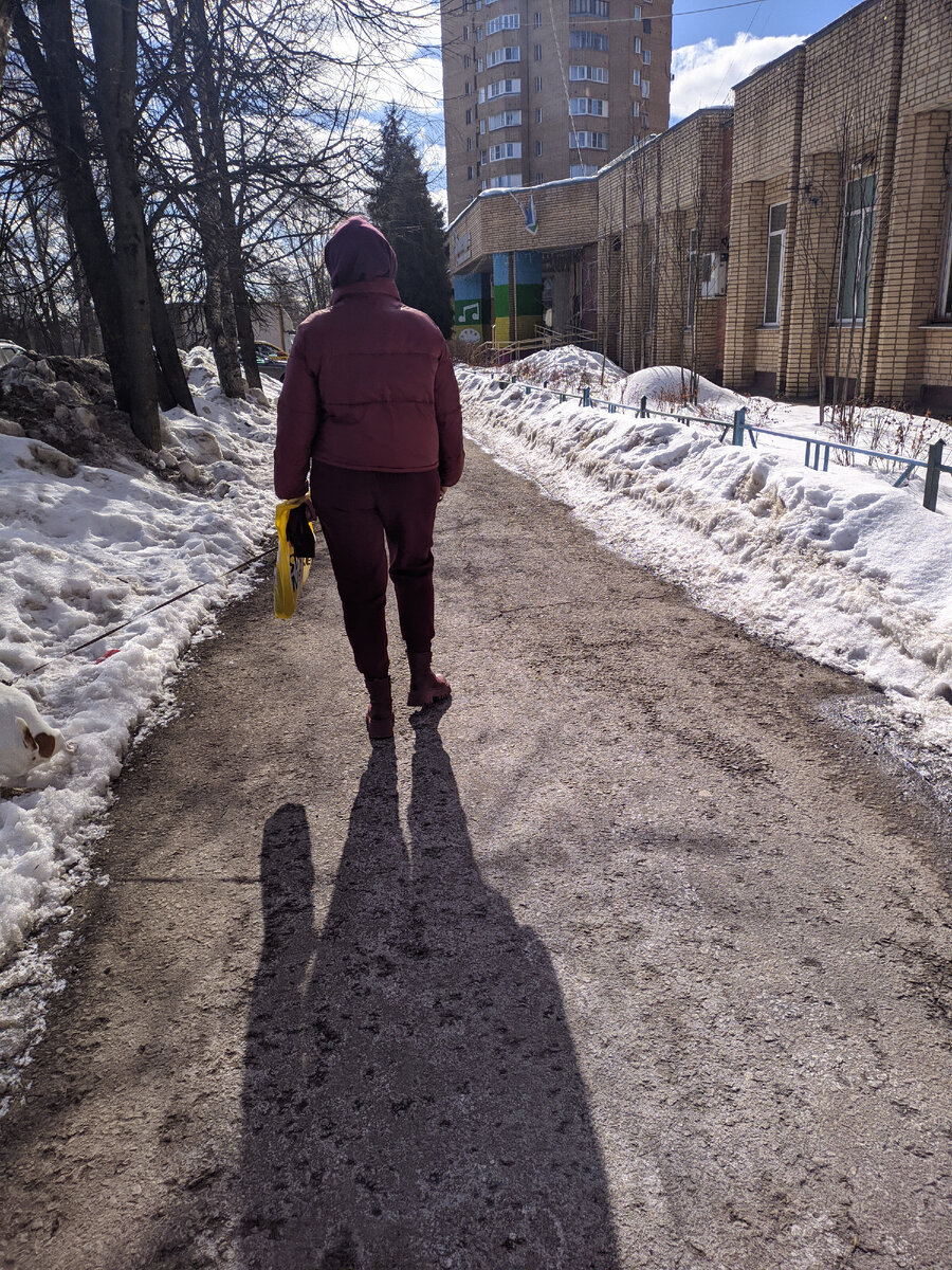 5 утра снег. Снегопад фото. Утренний снегопад. Снежное утро. Снежное утро.