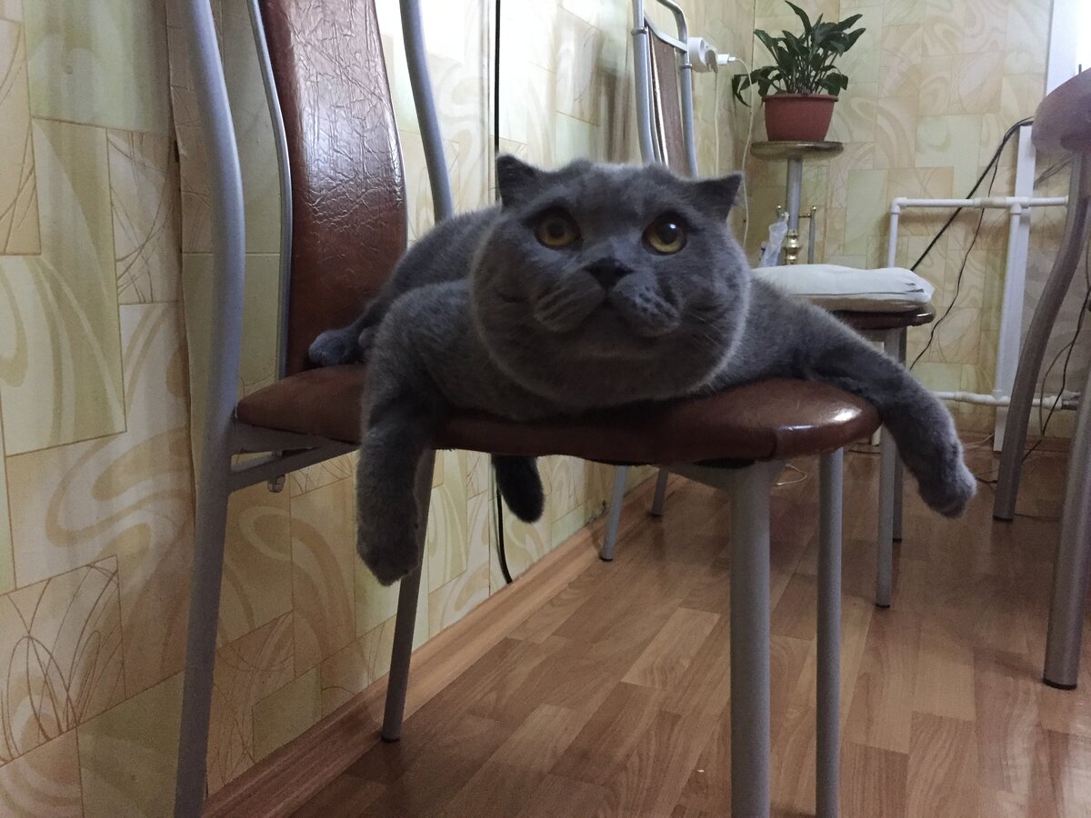 Авторское фото для иллюстрации.