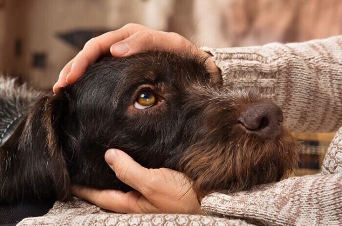 Фото из доступного источника