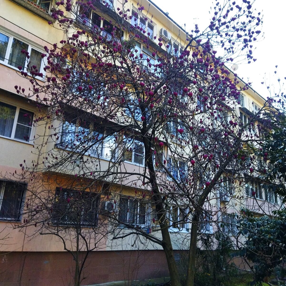 Фото из Сочи.