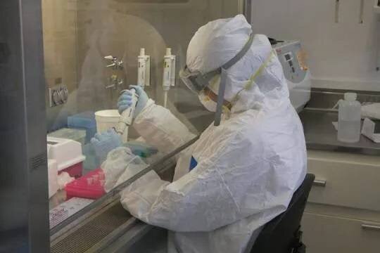    В Китае заявили о росте рисков пандемии «болезни X»