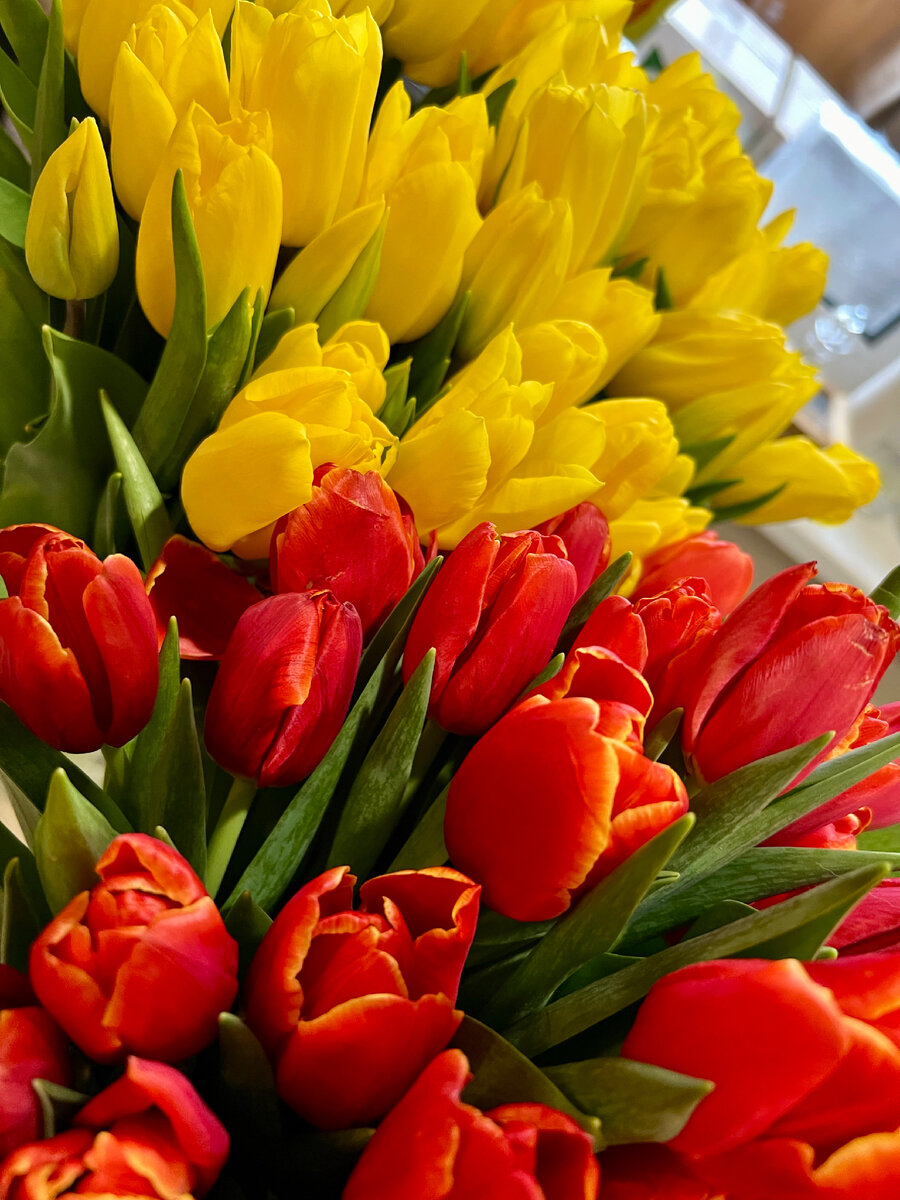 Обожаю тюльпаны!